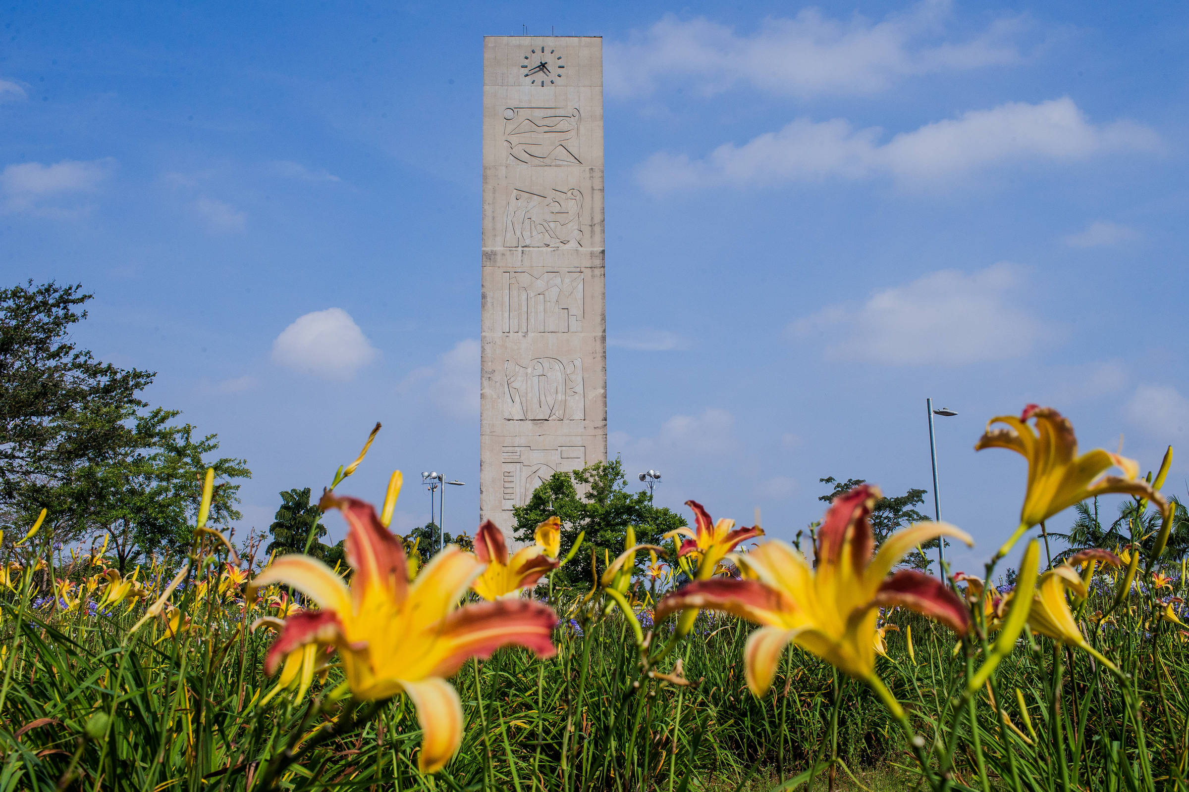 CPI das universidades: resultados e lições