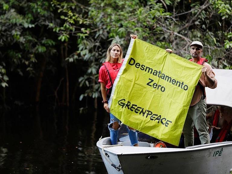 Bruno Gagliasso e Giovanna Ewbank mapeiam incêndio na Amazônia com Greenpeace