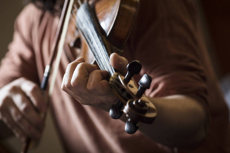Proibidos no Brasil, arcos de pau-brasil para violinos são vendidos no ecommerce
