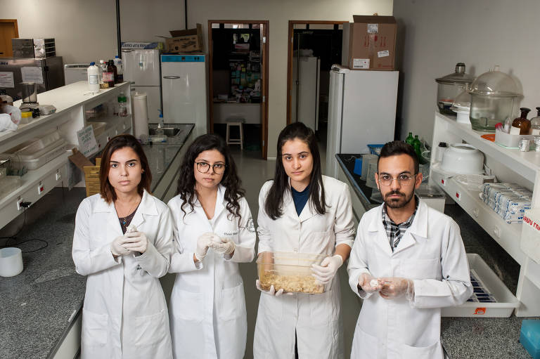 A saída encontrada para a professora Angélica Vieira foi usar dinheiro do próprio bolso para bancar as pesquisas, mas várias linhas de pesquisa já se encontram paradas ou no caminho de serem encerradas pela falta de material, equipamentos e bolsas (que funciona como salário) para pesquisadores; os estudantes da UFMG Mariana Silva, 22 e Viviani de Almenida, 25, mestrandas, e Suellen Oliveira, 19, e Victor Melo, 23, alunos de graduação, têm suas pesquisas ameaçadas pela falta de verba