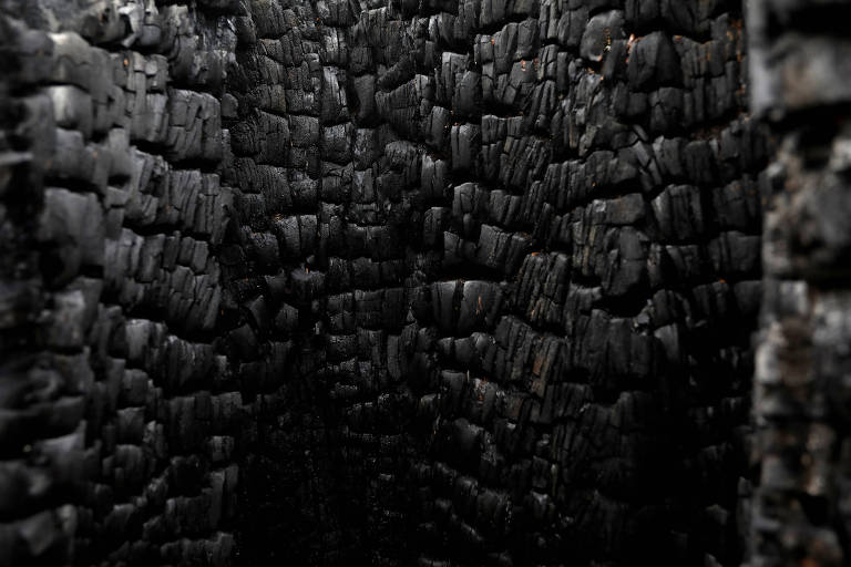 Tronco calcinado em Apuí