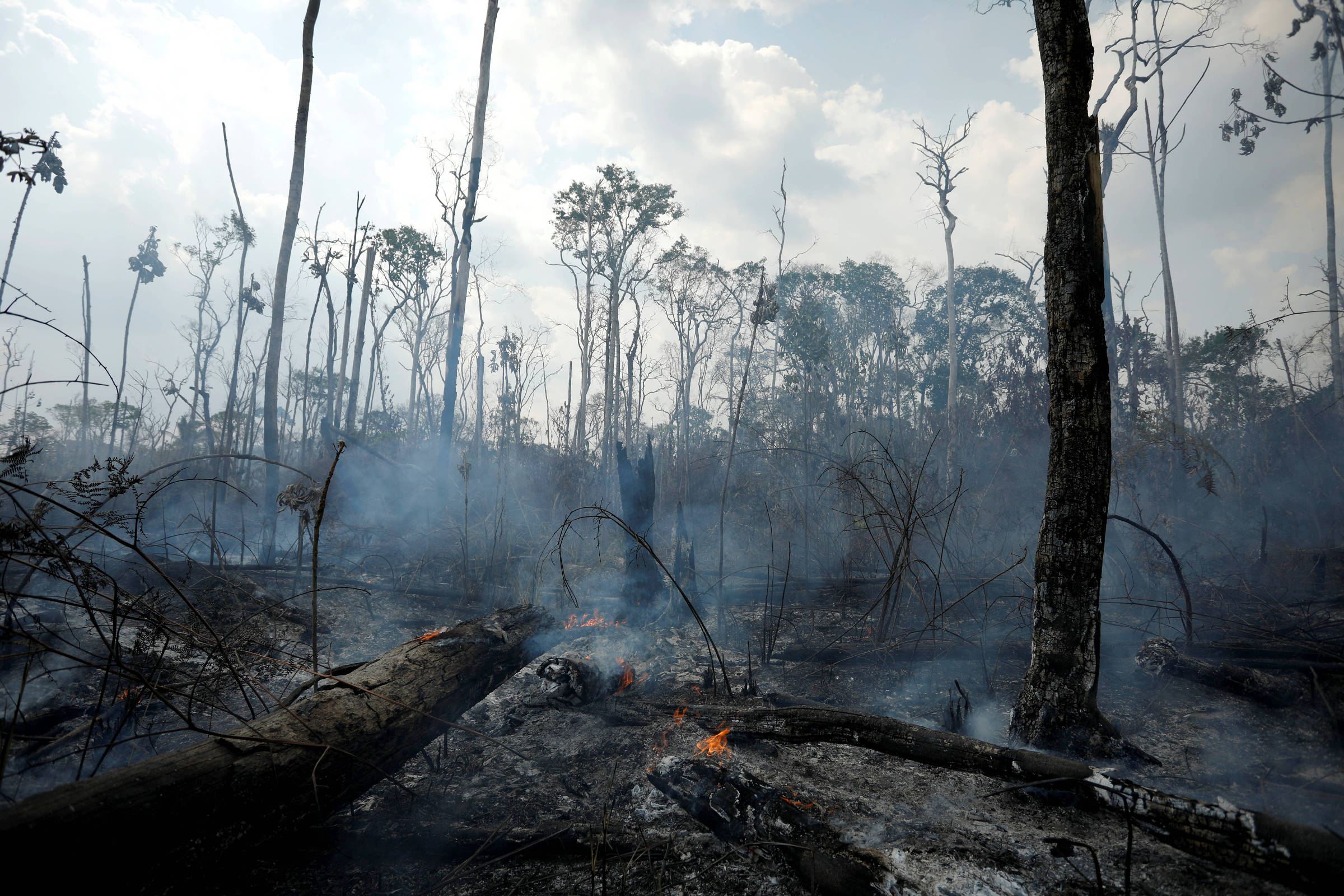 Declarações antiambientalistas de políticos aceleram desmatamento, diz estudo