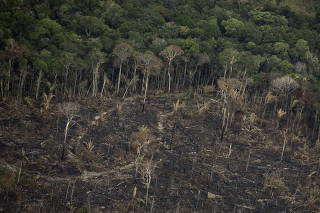 Terreno desmatado e queimado é visto na floresta Amazônia
