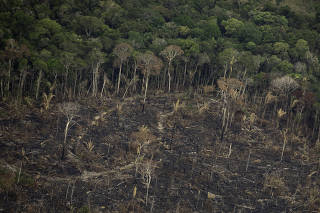 Terreno desmatado e queimado é visto na floresta Amazônia