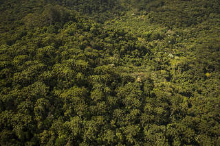 Especial Desmatamento do Estado de Sao Paulo. Area nativa de  mata atlantica na serra da Cantareira na zona norte de Sao Paulo