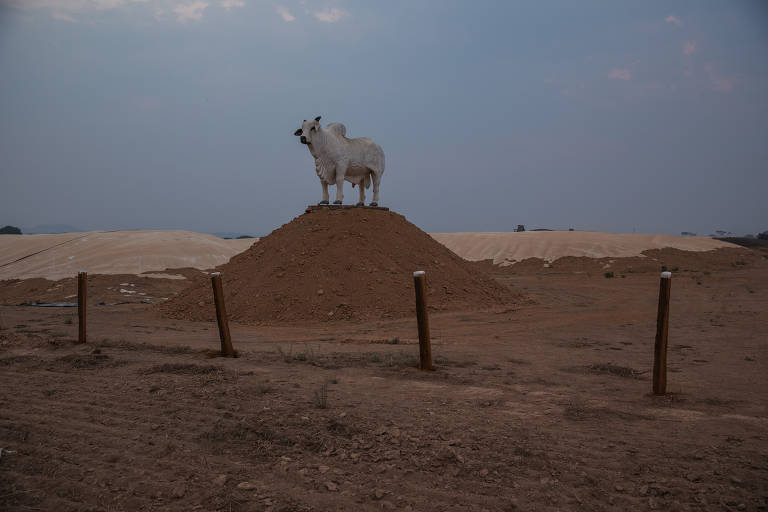 Estátua de boi às margens da estrada BR-163, perto de Peixoto de Azevedo, no norte do Mato Grosso