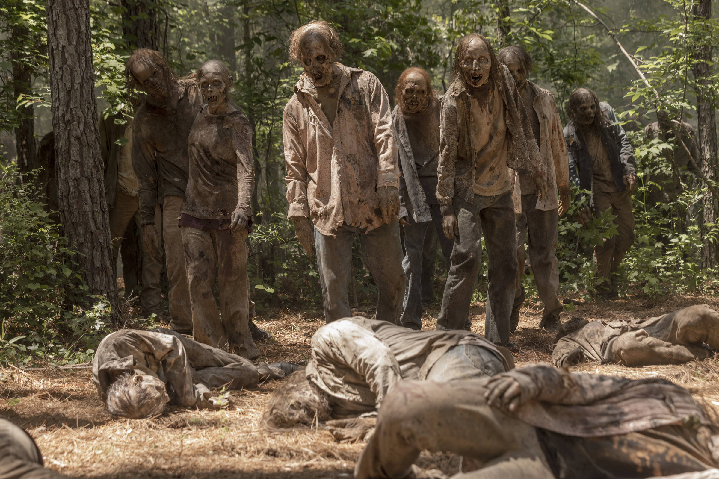 F5 - Televisão - 'The Walking Dead' chega ao fim em sua 11ª temporada, mas  sobrevive com derivados - 09/09/2020