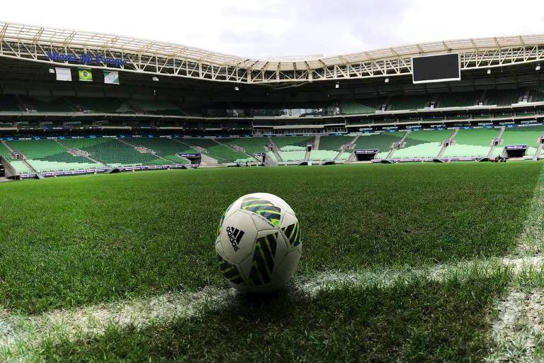 Palmeiras estuda colocar grama sintética no Allianz Parque