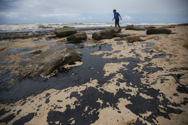 Manchas de óleo na Bahia e em Sergipe