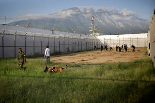 Mexican soldiers and state police take part in a search for mass graves inside the ex-prison of Topo Chico in Monterrey