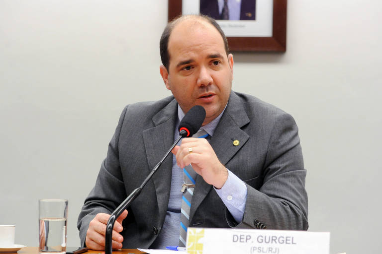 Deputado Sargento Gurgel (RJ): bivarista