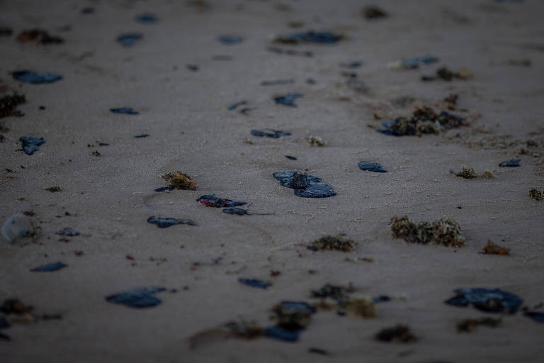 Praia de Itacimirim, em Camaçari, ao norte de Salvador também foi atingida