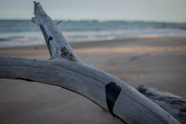 Praia de Itacimirim, em Camaçari, ao norte de Salvador também foi atingida