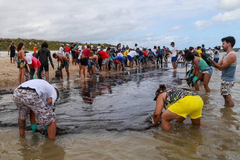 Voluntários tiram óleo de praias do Nordeste