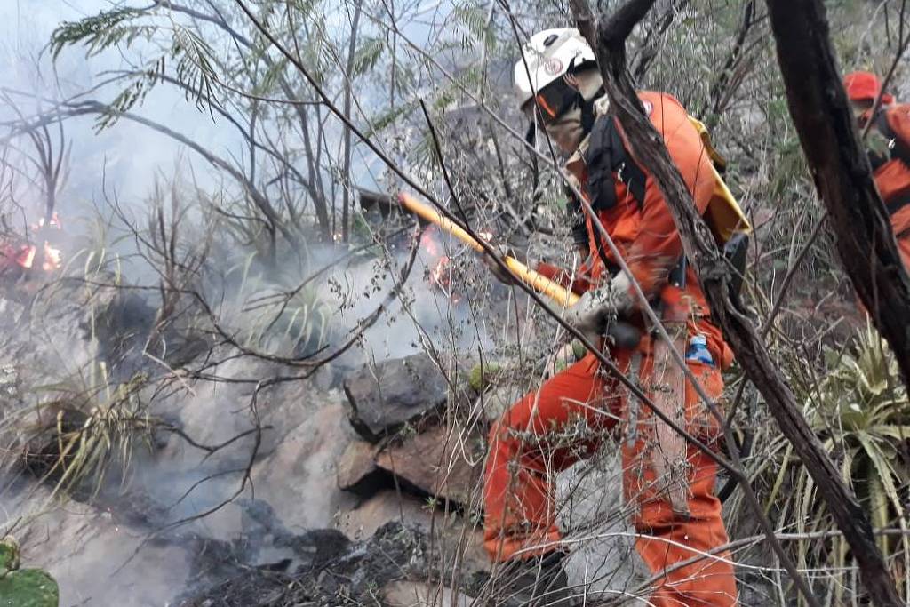Incêndio atinge vegetação da Chapada Diamantina, na Bahia - Folha de S.Paulo