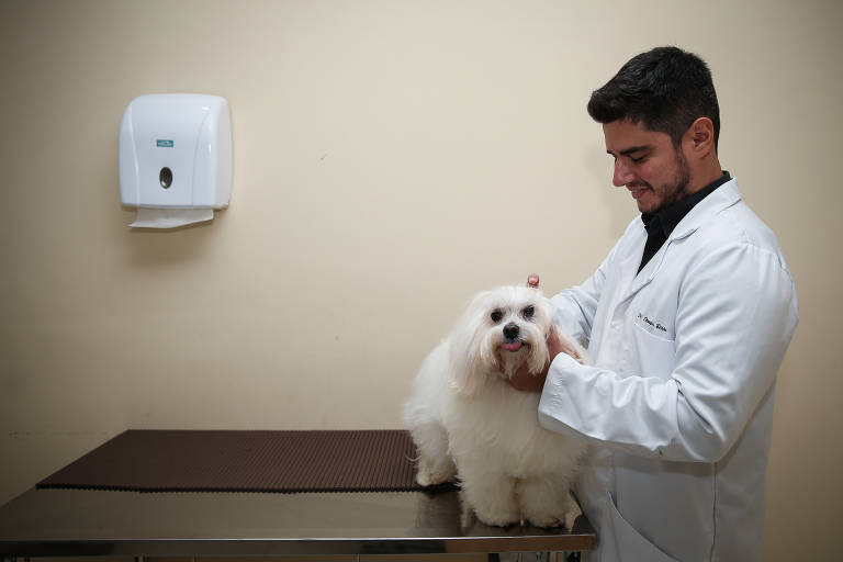 O veterinário especializado em dermatologia Douglas Bessa, 35, em uma das clínicas em que atende