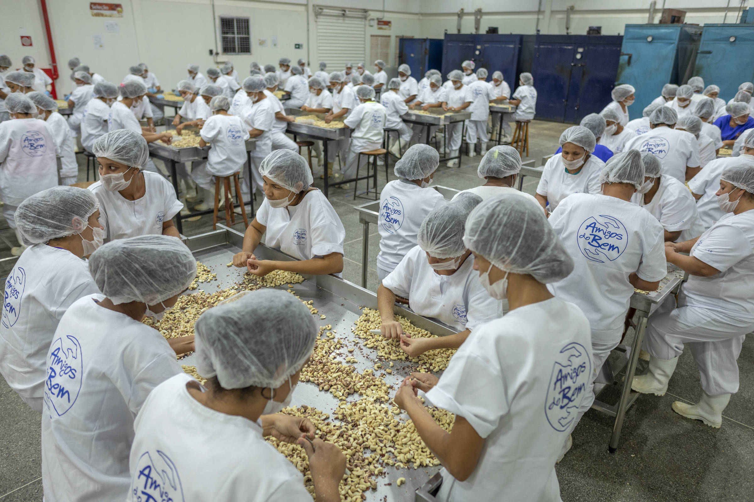 Governo quer que Forças Armadas comprem castanhas, laranja e mel para reduzir impacto do tarifaço