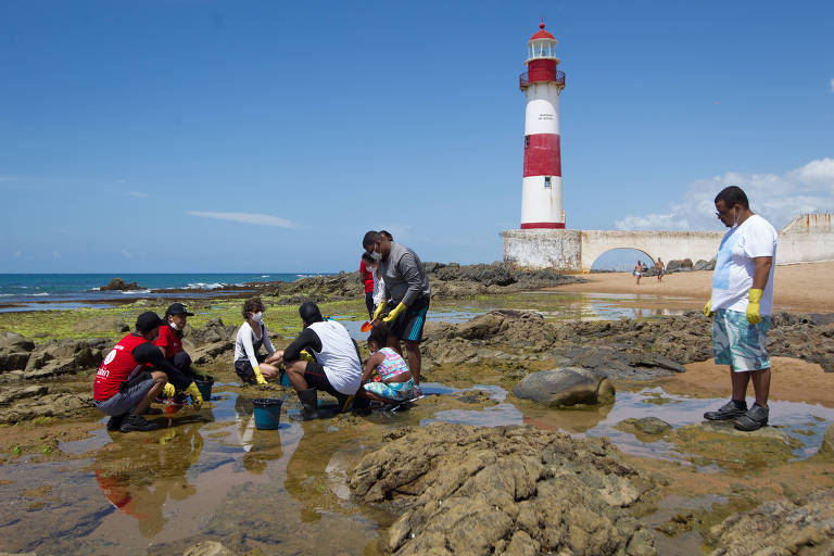 Voluntários fazem mutirão de limpeza da praia de Itapuã, em Salvador, neste domingo (27)
