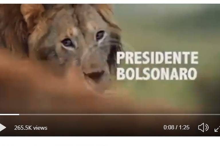 Tuíte do presidente Jair Bolsonaro em que ele aparece comparado a um leão atacado por hienas