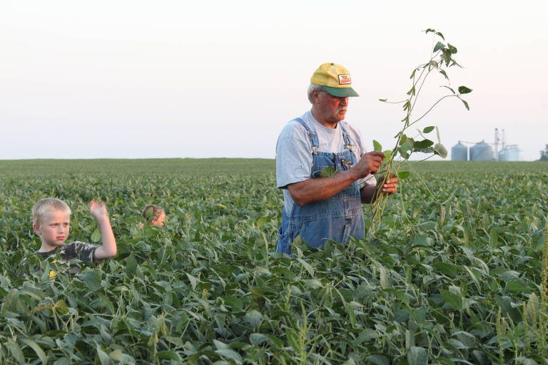 Produtor de soja, ao lado de netos, avalia lavoura no Meio-Oeste dos EUA