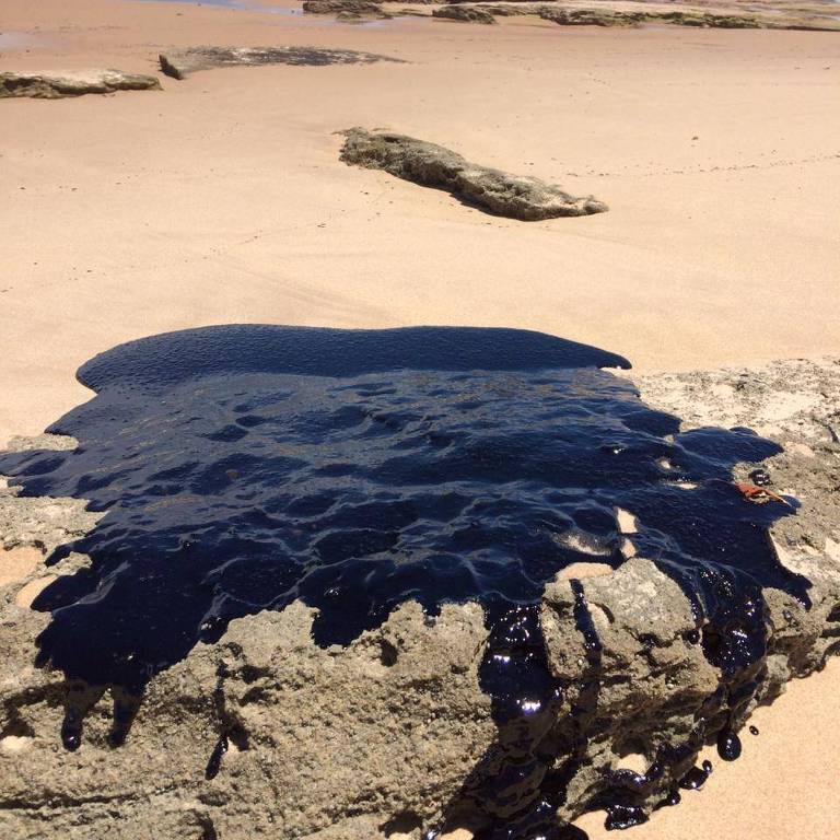 Em 2019, derramamento de óleo atingiu todo o litoral do Nordeste