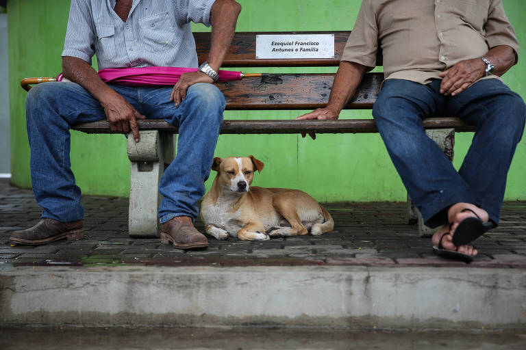 Grande parte dos habitantes de Torre de Pedra é formada por idosos e aposentados