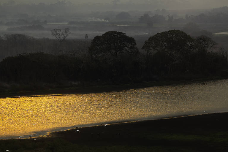 Queimada atinge vegetação no Parque Estadual do Pantanal do Rio Negro
