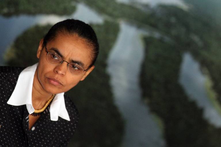 À frente da SAE, coordenou o Plano Amazônia Sustentável (PAS). Mangabeira Unger foi favorável a leis ambientais mais flexíveis, visando impulsionar o desenvolvimento da Amazônia, se opondo a Marina Silva (Rede), então ministra do Meio Ambiente. A situação dividiu o governo entre setores "desenvolvimentistas" e setores "ambientalistas". Segundo analistas, as posições de Mangabeira  adiantaram a saída de Marina Silva do governo. 