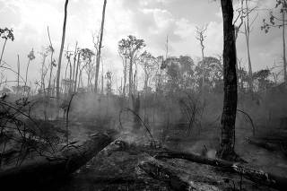 A tract of the Amazon jungle burning is seen in Apui