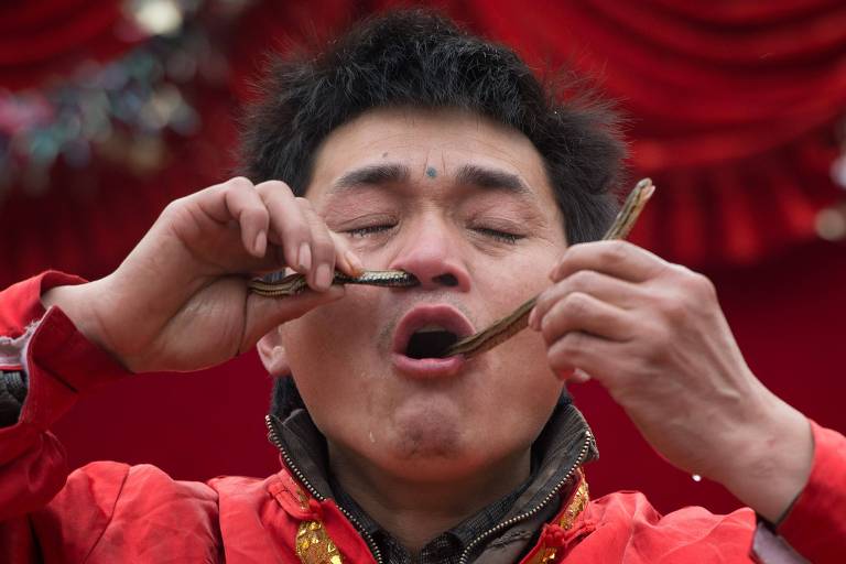 Homem passa cobra pelo nariz e boca, na China