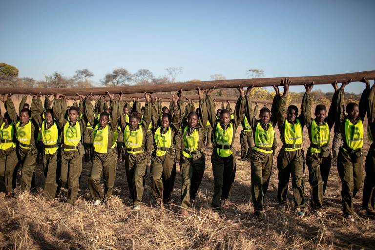 As mulheres que combatem a caça ilegal no Zimbábue