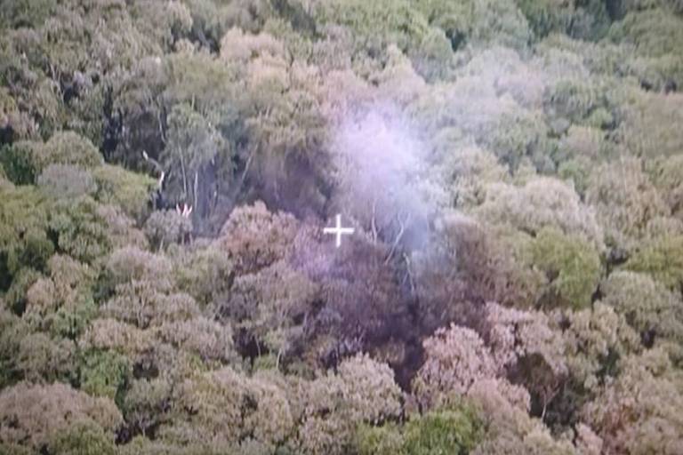 Incêndio causado por queda de aeronave em região de mata na serra da Cantareira