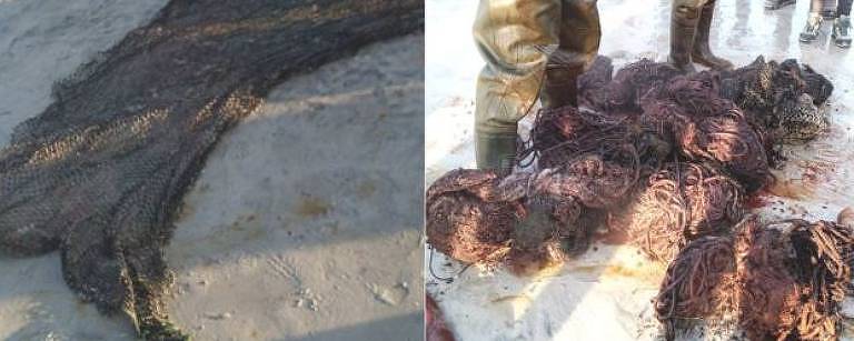 Redes de pesca e rolos de corda estavam entre os itens encontrados na baleia, que era um macho adulto, de acordo com especialistas
