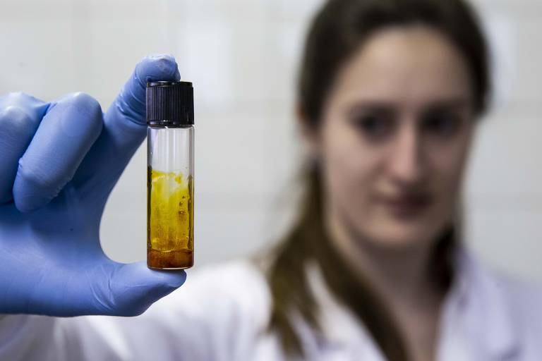 Cientista da empresa Entourage Phytolab que, em parceria com a Unicamp, desenvolve um extrato concentrado de canabidiol para produção de medicamentos
