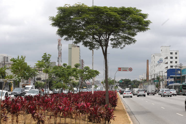 Canteiro central da rua Olegário Paiva, em Mogi, é aberto para