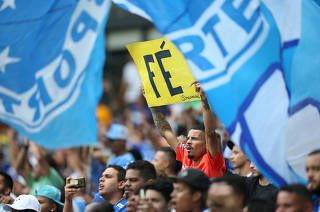 Brasileiro Championship - Cruzeiro v Palmeiras