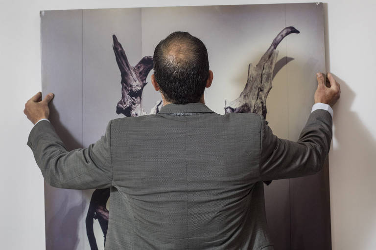 Raiz de árvore encontrada por Norberto Odebrecht faz parte da decoração da sede da empresa, em Salvador. Quadro com a raiz está na casa de Marcelo Odebrecht, em São Paulo