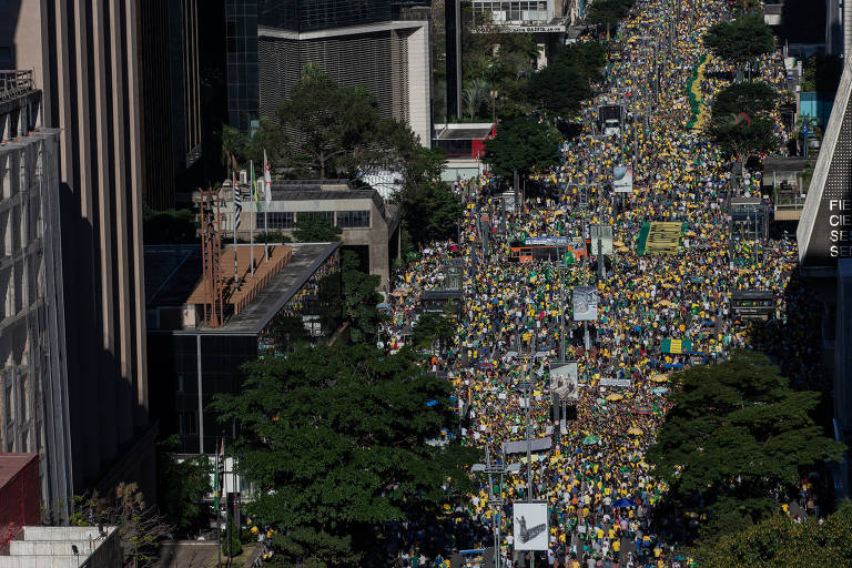 Em 2019 o país assistiu a grandes protestos favoráveis a Bolsonaro. Durante a convocação dos atos de maio, a pauta estava centrada no enfrentamento ao STF. Com o tempo, os manifestantes se viraram contra o centrão e o congresso e a favor da agenda do presidente, que na época era a aprovação da reforma da Previdência e do pacote anticrime de Moro