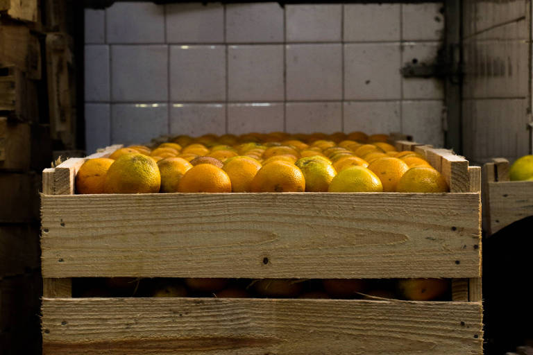 Na foto há um caixote de feira com laranjas