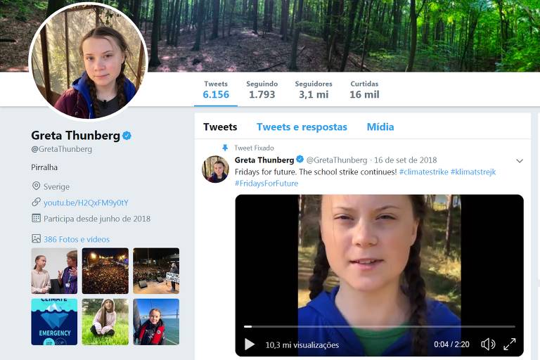 Na imagem aparece o perfil de Twitter de Greta, onde, logo abaixo de seu nome onde fica a descrição, aparece a palavra "Pirralha".