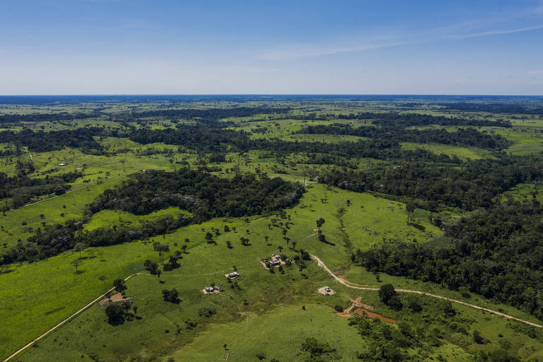 Área desmatada dentro da Reserva Extrativista Chico Mendes, em Xapuri (AC)