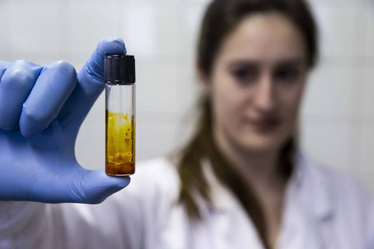 Cientista da empresa Entourage Phytolab que, em parceria com a Unicamp, desenvolve um extrato concentrado de canabidiol para produção de medicamentos