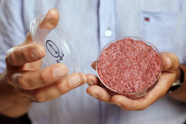 Pessoa segura placa de petri cheia de carne produzida em laboratório
