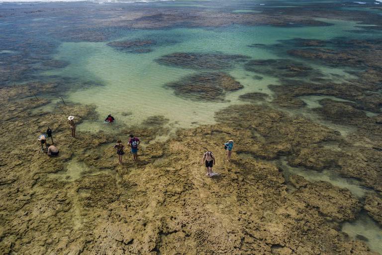 Piscinas naturais no nordeste