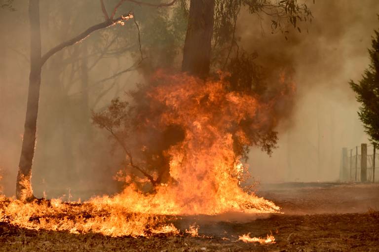 Fogo toma vegetação em Balmoral, a 150 km de Sydney, capital australiana. Estado de emergência foi declarado na região, por causa dos incêncios provocados por ondas de calor