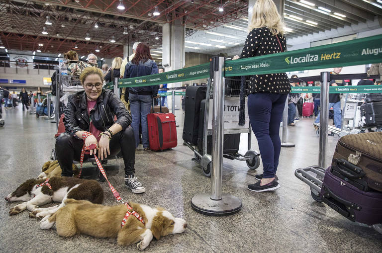 Passageira Marcelle Alonso Melo,19, aguarda com seus filhotes de border collie no terminal 2 de Cumbica embarque para Salvador