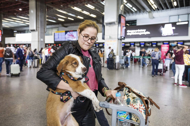 Passageira Marcelle Alonso Melo,19, com um de seus três filhotes de border collie no terminal 2 de Cumbica antes de embarcar para Salvador