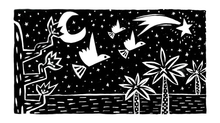 Ilustração em estilo semelhante a xilogravura em preto. É uma noite de lua minguante e uma estrela cadente passa pelo céu. Três pássaros voam e estão rodeados de cactos e palmeiras