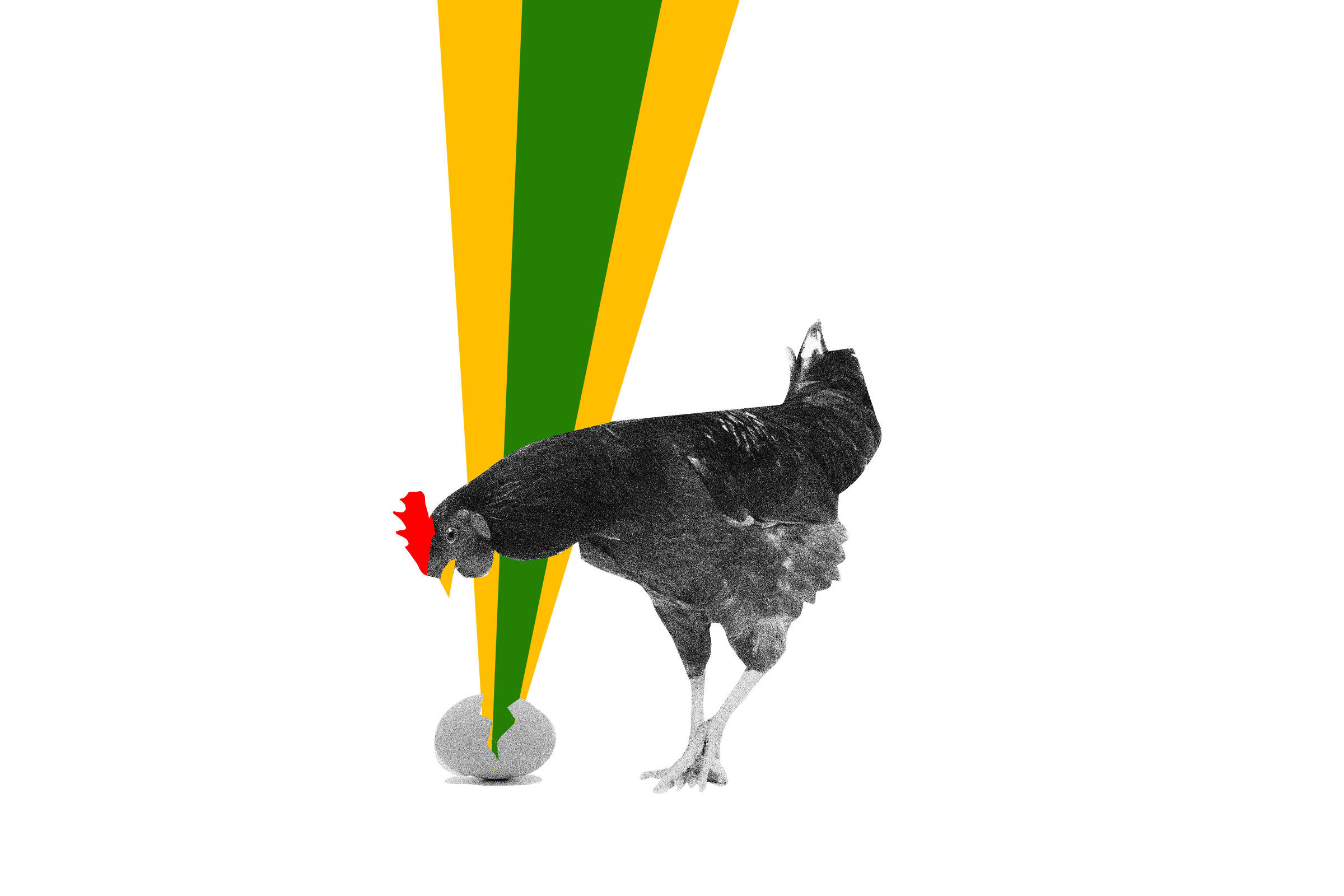 Quantos anos a gente voltou só no ano passado?