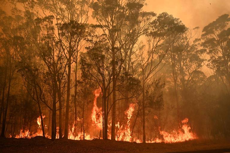 As fotos mais impressionantes do fogo na Austrália